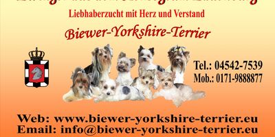 Osteroth Bettina Hundepflege in Mölln in Lauenburg