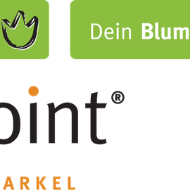 flora-point Blumenshop GmbH in Dortmund
