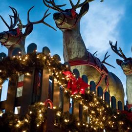 Nikolausdorf der Weihnachtsmarkt auf dem Rudolfplatz in Köln 2017