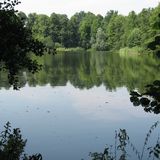 Waldsee Berlin-Hermsdorf in Berlin