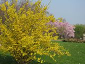 Nutzerbilder Gärten der Welt - Erholungspark Marzahn