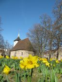 Nutzerbilder Ev. Luther-Kirchengemeinde Alt-Reinickendorf