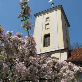 Dorfkirche Alt-Heiligensee mit Baumbl&uuml;te im April 2014.