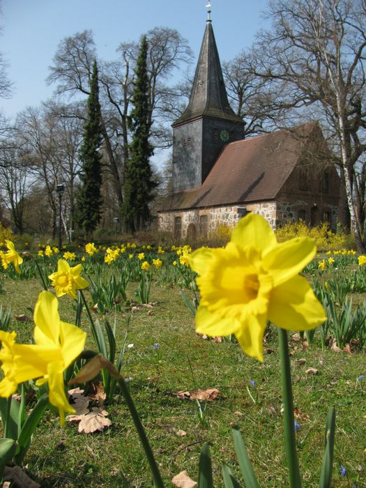 Dorfkirche Wittenau im Frühling 2015, neu!!!!