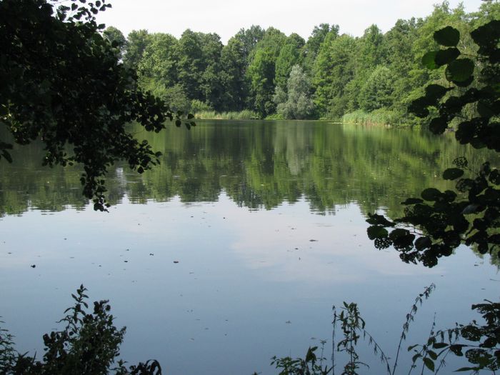 Der Waldsee in Berlin-Hermsdorf im Sommer 2014.:)