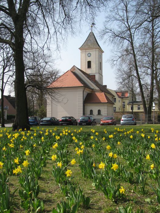 Dorfkirche Hermsdorf mit Osterglocken.:)