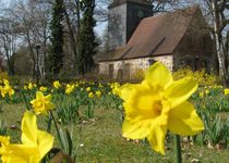 Bild zu Dorfkirche Alt-Wittenau