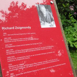 Historischer Stadtfriedhof und Park in Göttingen von 1881, Nobelpreis 1925 Chemie &quot;Richard Zsigmondy&quot;, Biographie