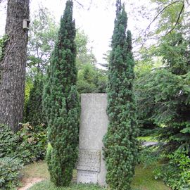 Historischer Stadtfriedhof und Park in G&ouml;ttingen von 1881, Grabmal derer von Martius 