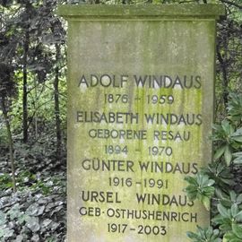 Historischer Stadtfriedhof und Park in Göttingen von 1881, Grabstätte Adolf Windaus