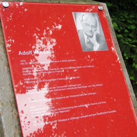 Historischer Stadtfriedhof und Park in Göttingen von 1881, Nobelpreis 1928 Chemie &quot;Adolf Windaus&quot;, Biographie