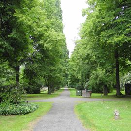 Historischer Stadtfriedhof und Park in Göttingen von 1881, Alleenweg