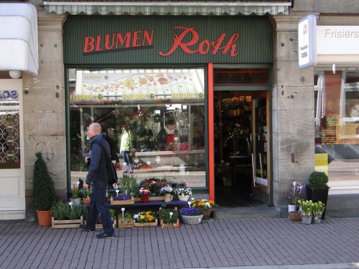 Blumengeschäft Roth in der Jüdenstr.8 (alteingesessenes Göttinger Geschäft)