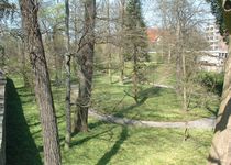 Bild zu Botanischer Garten Göttingen