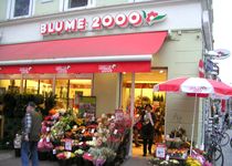 Bild zu BLUME2000 Göttingen