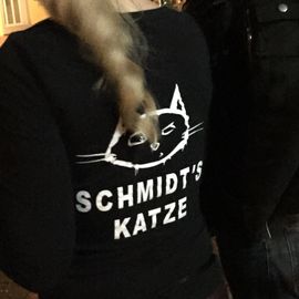 Schmidts Katze in Karlsruhe