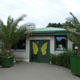 Schmetterlingspark in Lutherstadt Wittenberg