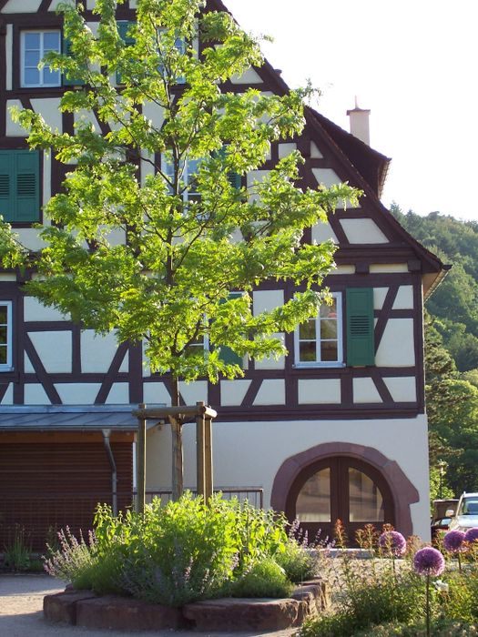 Blick vom Biergarten auf Hauptgebäude