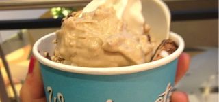 Bild zu WONDERPOTS frozen yogurt im ALEXA
