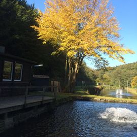 Die Fischteiche in romantischer Umgebung