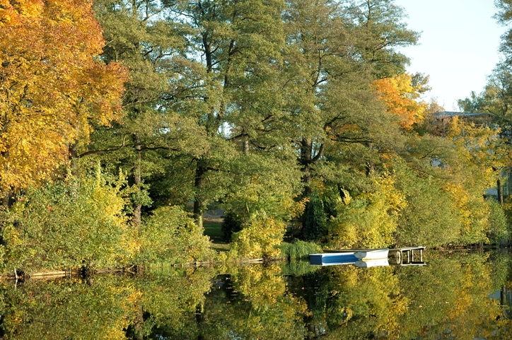 Herbst am Boddensee