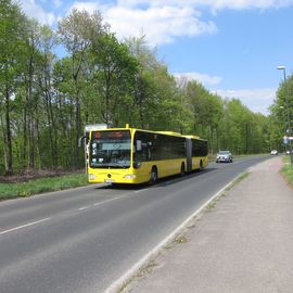 Ein Omnibus des Typs O530 der Essener Verkehrs-AG nahe der Station &apos;Fängershof&apos;.