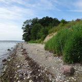 Salzwiesen am Holm mit Strandniederungen, Landschaftschaftschutzgebiet in Neustadt in Holstein