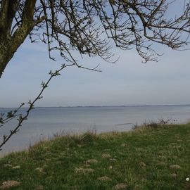 Ostseecamping Zierow, Blick von unserem Stellplatz auf die Ostsee