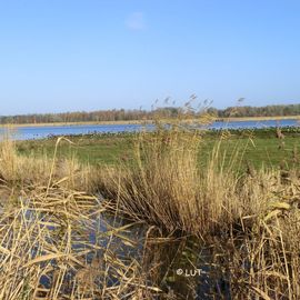 Schellbruch, Blick auf die Große Lagune vom Gänsepfad aus 