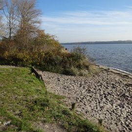  Südl. Priwall, Naturschutzgebiet, Travemünde,Blick auf die Pötenitzer Wiek