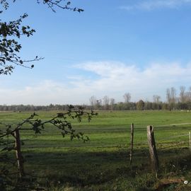 Südlicher Priwall, Naturschutzgebiet, Travemünde