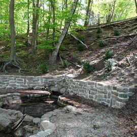 Wilhelmsquelle, Bad Schwartau, endlich wieder sauber, Frühjahr 2015