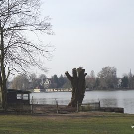 Drägerpark, Lübeck