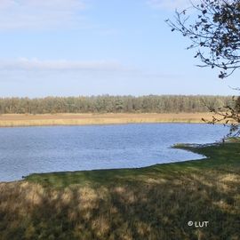 Schellbruch, Blick auf die Große Lagune vom Gänsepfad aus