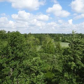 Hermann-Löns-Blick, Aussichtsturm, Niendorf,  Blick übe die Aalbeek-Niederung 