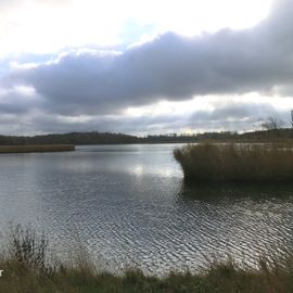 Schellbruch, Große Lagune vom Treidelpfad aus 