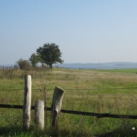 Boiensdorfer Werder