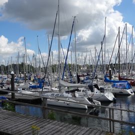 Ancora Marina, Neustadt in Holstein, Mastengewimmel am Osthafen