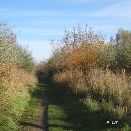 Südlicher Priwall, Naturschutzgebiet, Travemünde