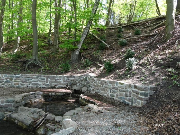 Wilhelmsquelle, Bad Schwartau, endlich wieder sauber, Frühjahr 2015