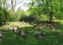 Bild zu Friedhof der Ev.-Luth. Kirchengemeinde Rensefeld