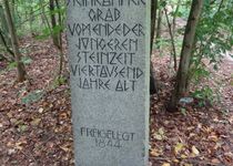 Bild zu Pöppendorfer Großsteingrab