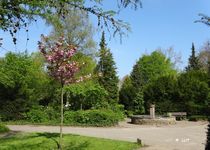 Bild zu Friedhof der Ev.-Luth. Kirchengemeinde Rensefeld