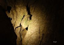 Bild zu Aggertalhöhle