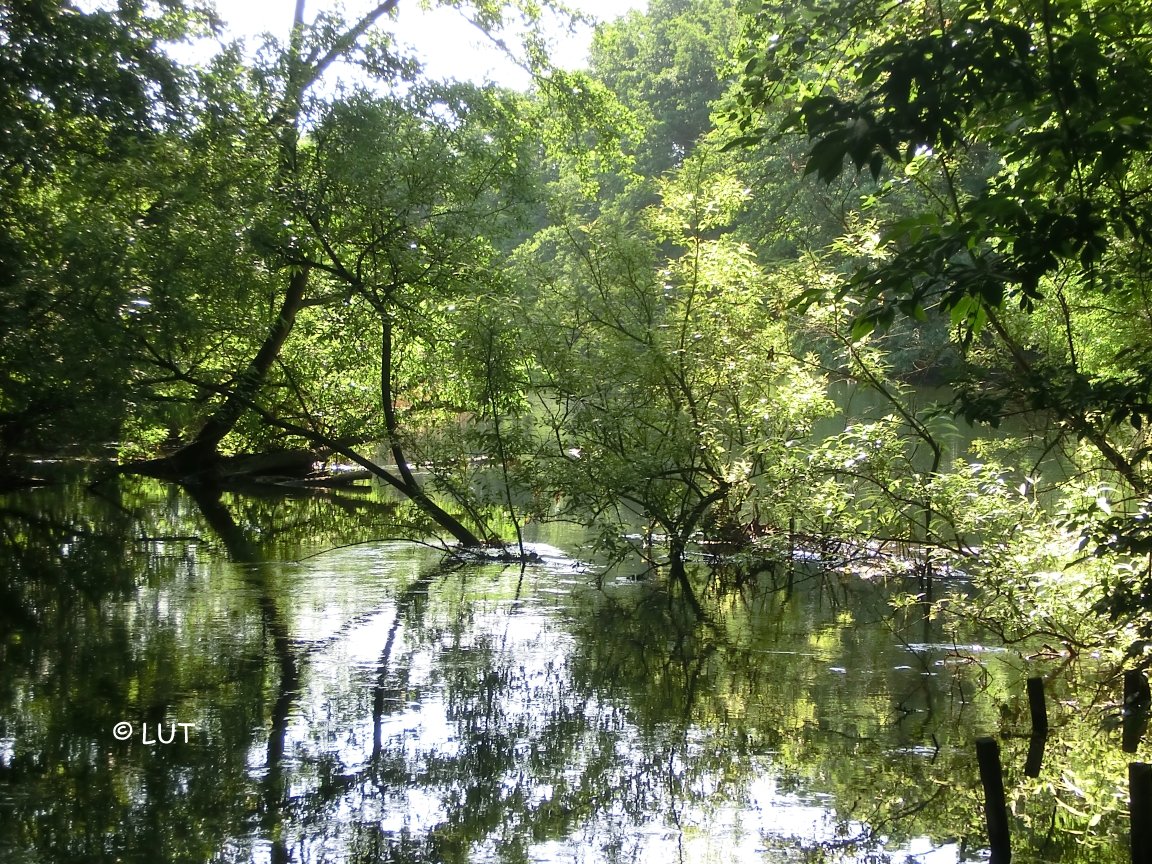 Naturcampingplatz Spitzenort, Plön, Fluss Schwentine am Campingplatz