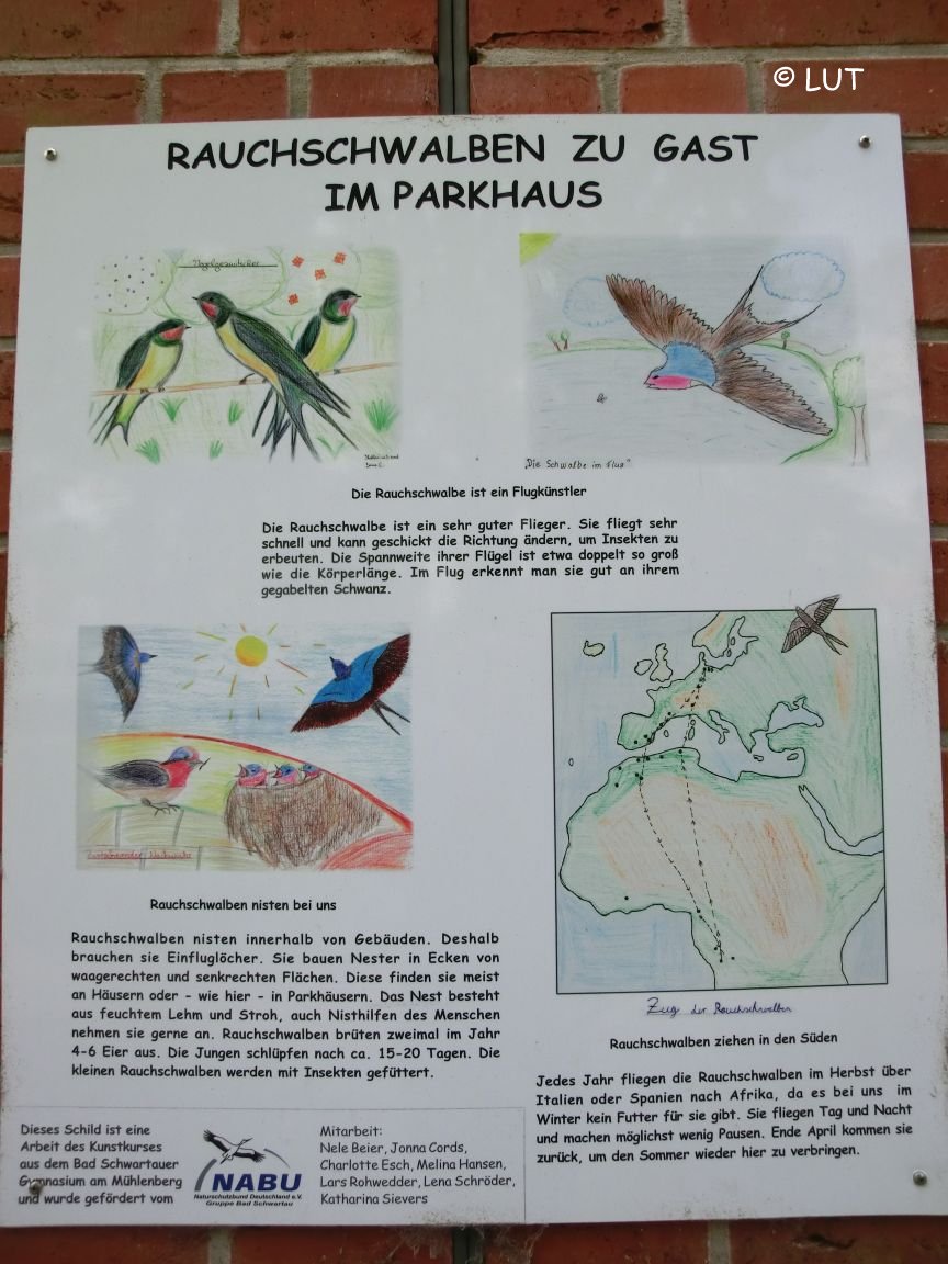 Parkhaus Holstein-Therme, Schwalben-Info-Tafel des Kunstkurses Gymnasium am Mühlenberg