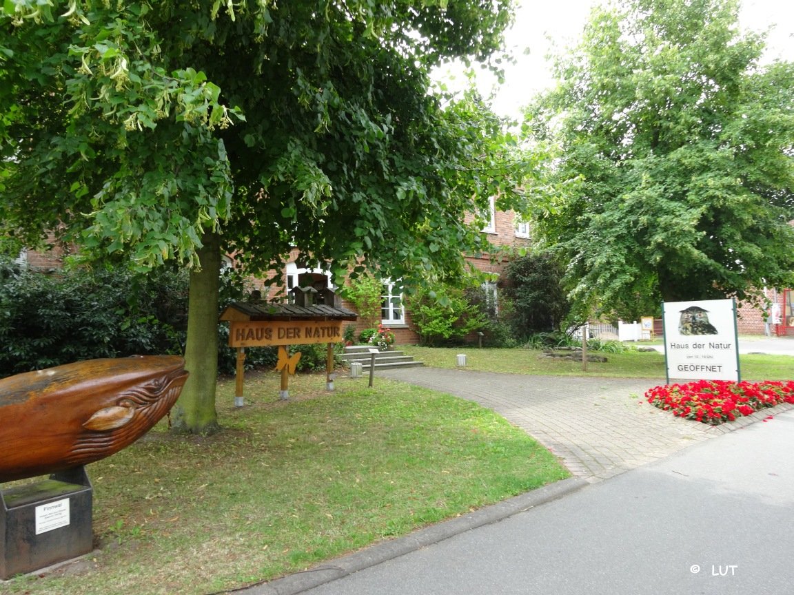 Haus der Natur, Museum, Cismar