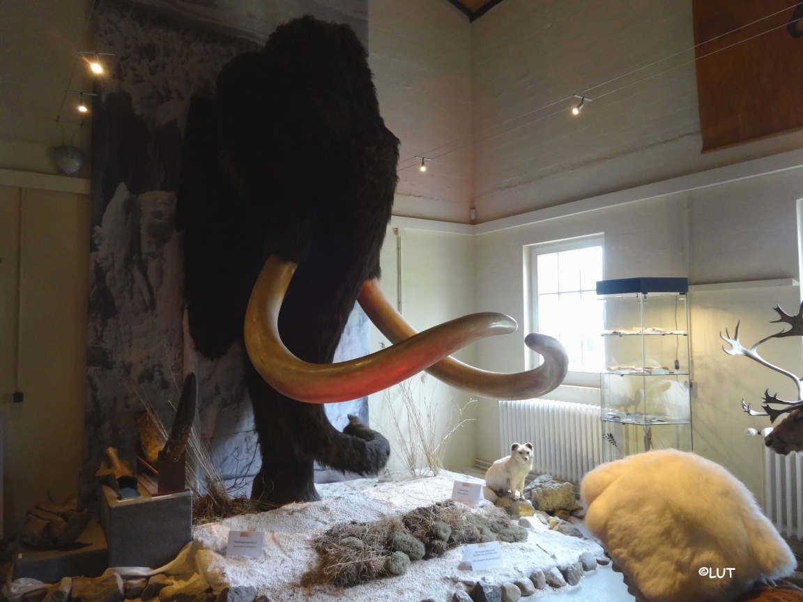 Eiszeitmuseum, Nienthal