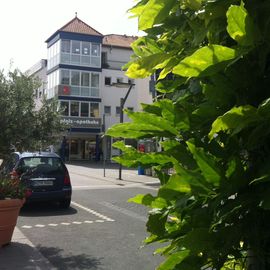 Pfalz Apotheke, Inh. Anna Steidle in Ingelheim am Rhein