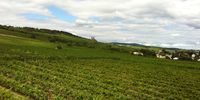 Nutzerfoto 8 Seilbahn Rüdesheim